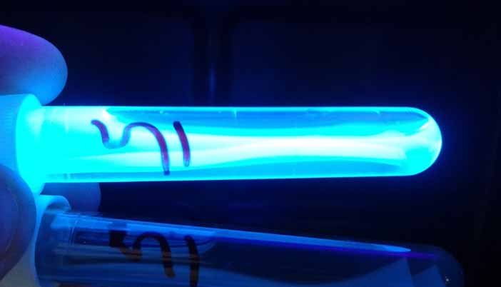 Does UV Light Destroy Viruses