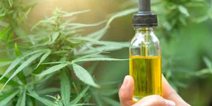 What Should CBD Oil Look and Taste Like