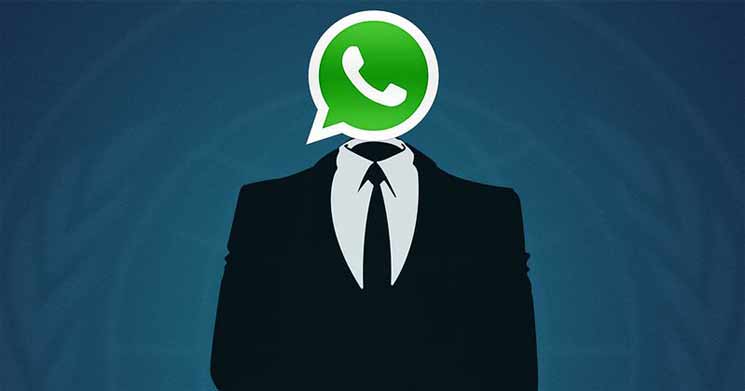 How to Restore Chat in WhatsApp Plus