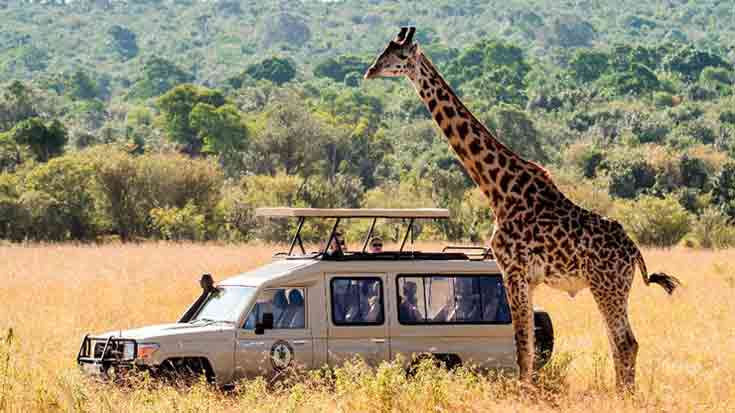 Tips For Booking Your African Safari